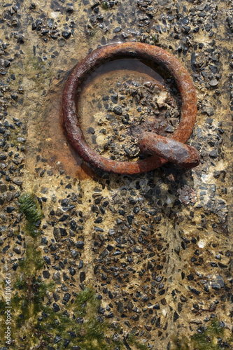 Old Rusty Metal Ring at the Harbor