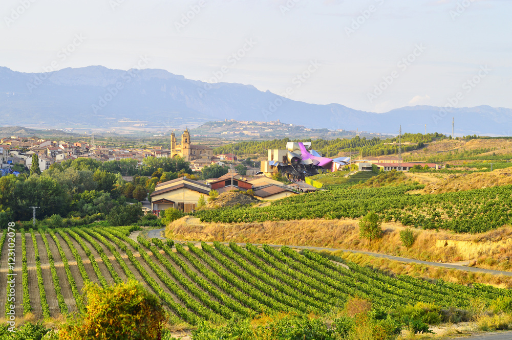 la rioja field landscape and marques del riscal winery