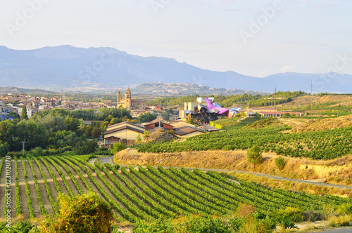 la rioja field landscape and marques del riscal winery