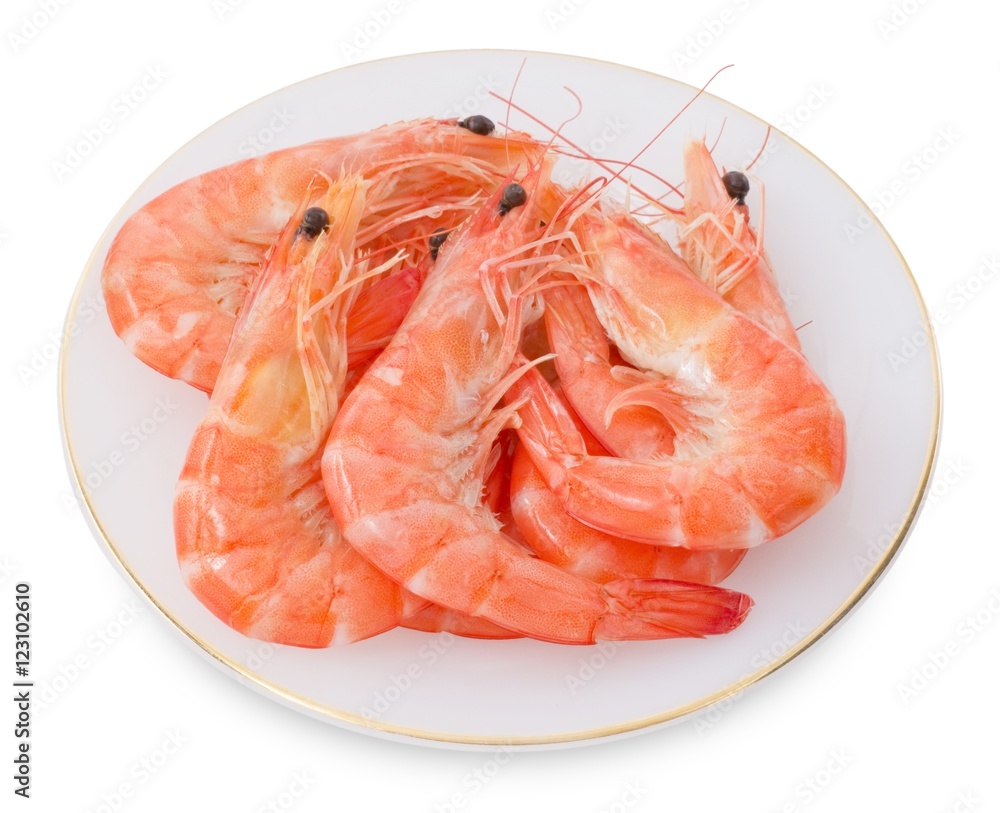 Cooked Prawns or Tiger Shrimps in White Plate Cooked Prawns or Tiger Shrimps in White Plate