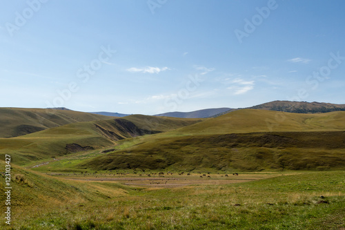 pasture in the mountains of Kazakhstan