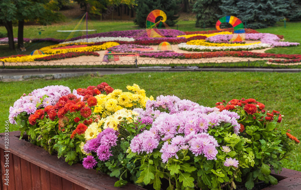 UKRAINE, KIEV: on Spivoche Pole, an exhibition of flowers UKRAINE, KIEV: on Spivoche Pole, an exhibition of flowers