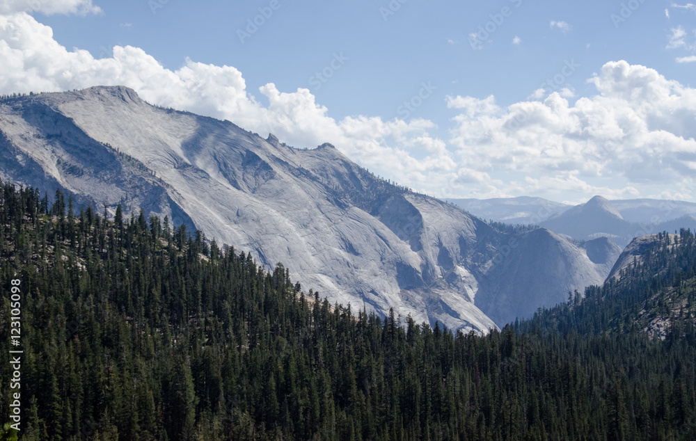 Distant blue mountain in Yosemite