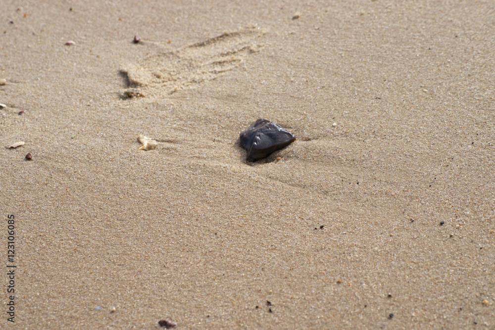 Spuren im Sand Spuren im Sand