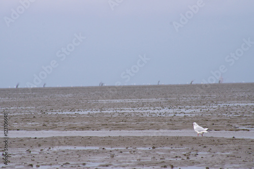 Nordsee bei Cuxhaven © stefanbi1974