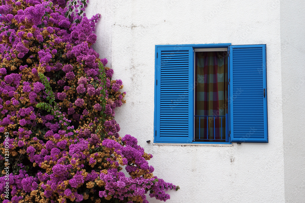 Window, pink flowers on white wall background. Window, pink flowers on white wall background.