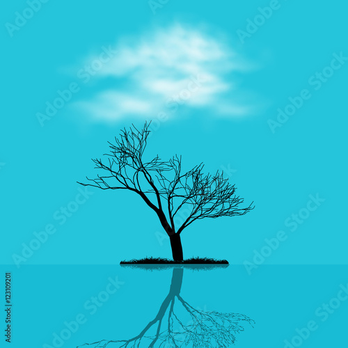lonely tree on a light background with a reflection on the surface of the water.