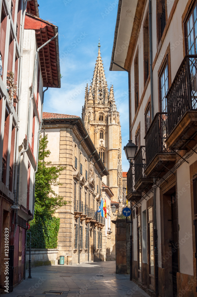 Mon street in Oviedo downtown, with the Cathedral tower in the background