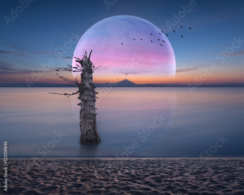 Fototapeta Naklejka Na Ścianę i Meble -  Beautiful fantasy landscape with moody atmosphere