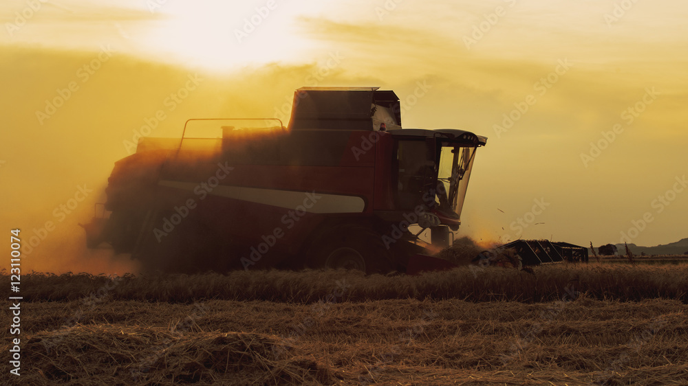 Fototapeta premium combine at sunset