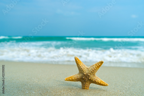 Starfish on perfect beach