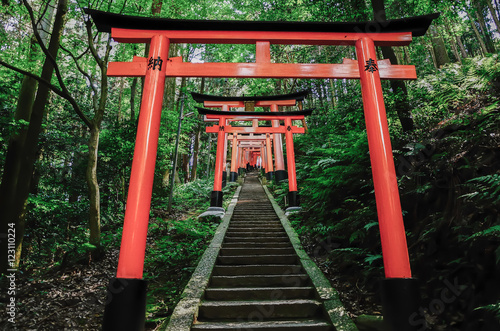 Fototapeta Fushimi Inari Shrine, Kyoto Japan
伏見稲荷大社