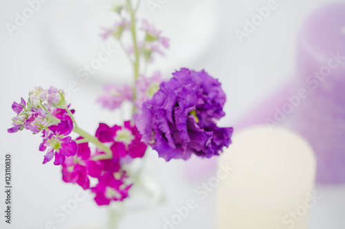 A closeup of violet flowers which decorate a dinner table