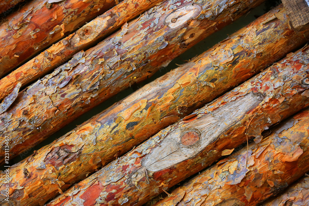 pine logs background pine logs background