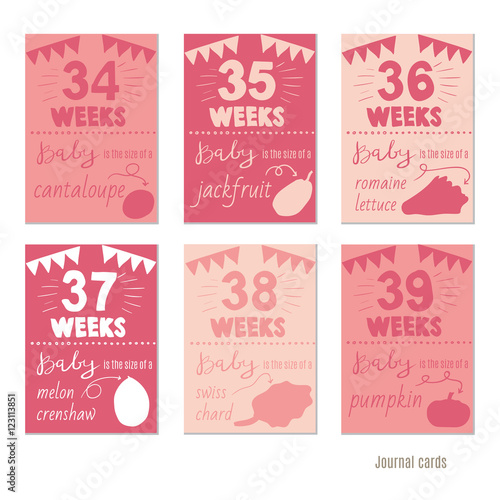 pregnancy 34-39 weeks Vector design templates for journal cards, scrapbooking cards, greeting cards, gift cards, patterns, blogging. Planner cards. Cute doodle. Printable templates set.