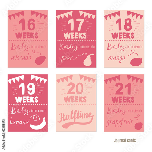 pregnancy 16-21 weeks Vector design templates for journal cards, scrapbooking cards, greeting cards, gift cards, patterns, blogging. Planner cards. Cute doodle. Printable templates set.