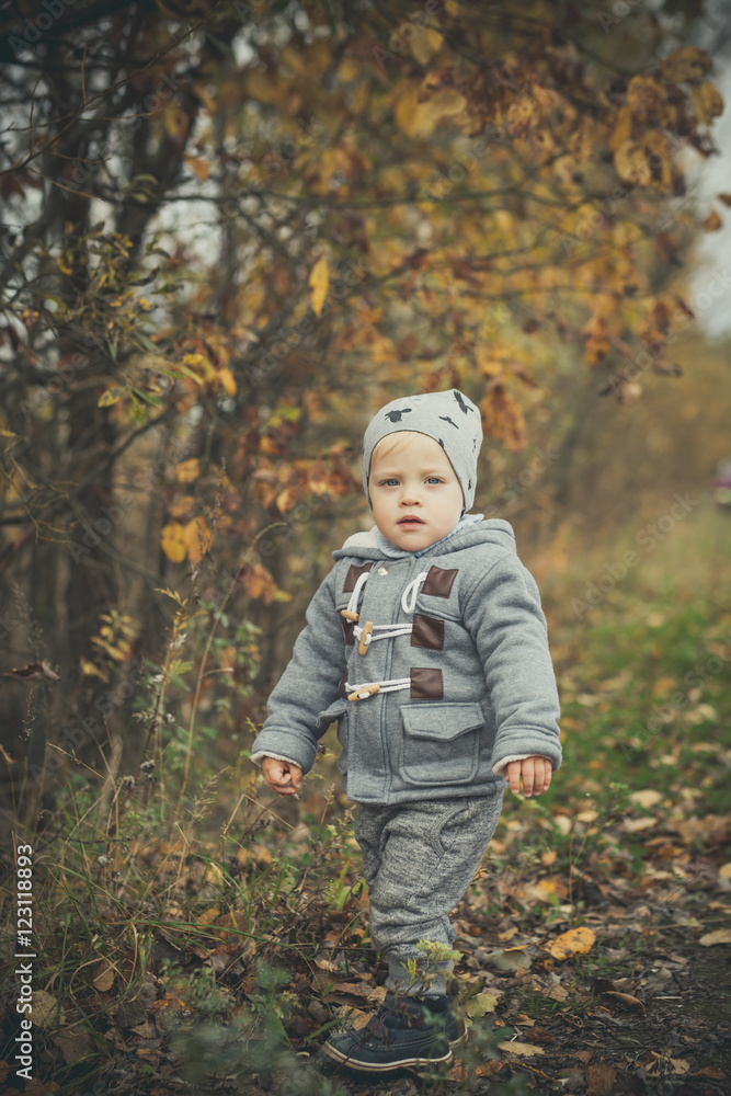 Little boy in autumn park