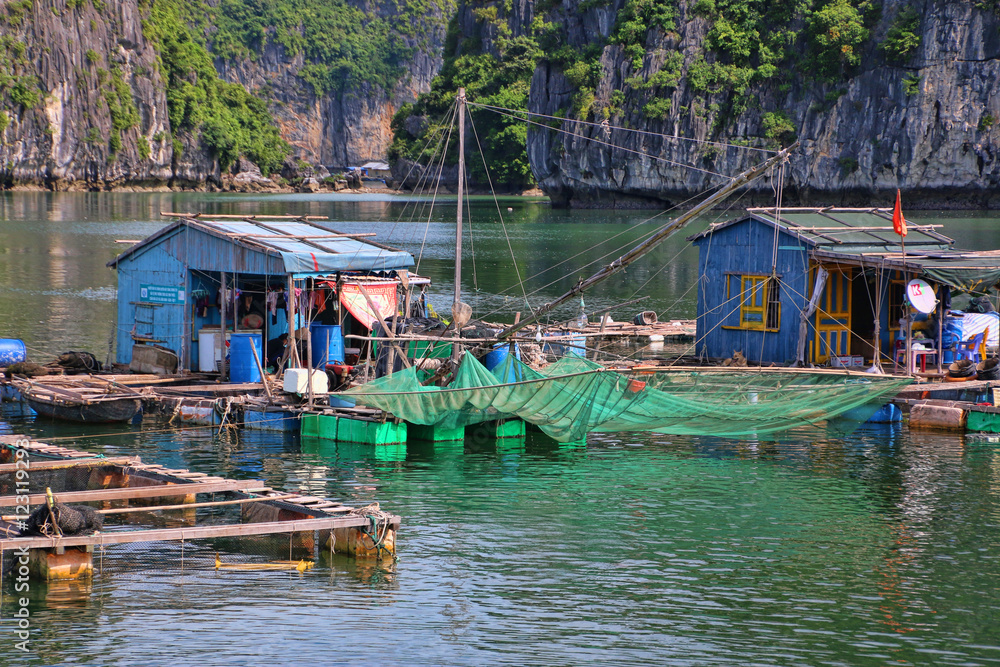 Obraz premium baie d'ha long
