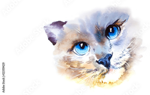 animal collection  Cat. Watercolor illustration