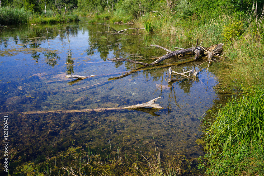 Biotop an einem Nebenarm des Lech Biotop an einem Nebenarm des Lech