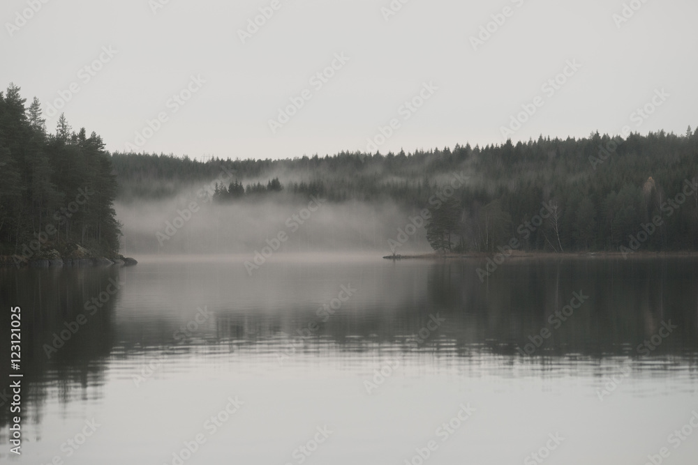 Fototapeta premium Fog over water