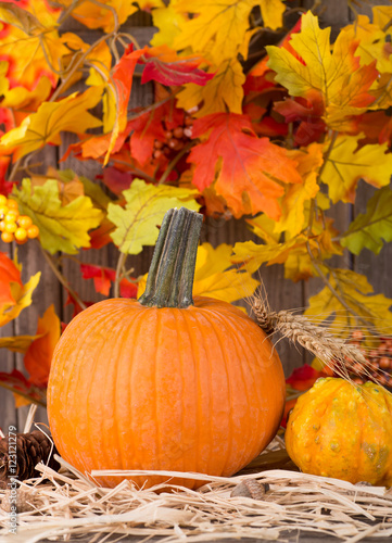 Autumn Pumpkin Closeup With a Background of Colorful Leaves