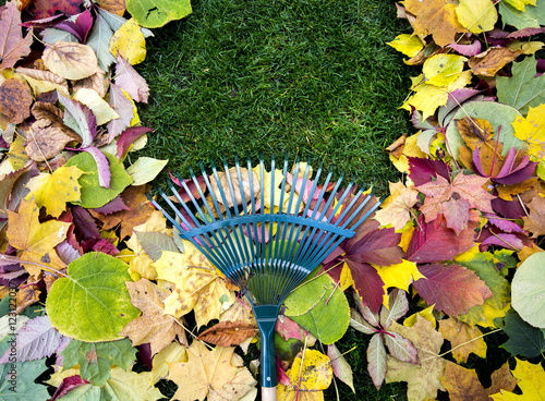 Rake on a wooden stick and Colored  autumn foliage. Collecting grass clippings. Garden tools.