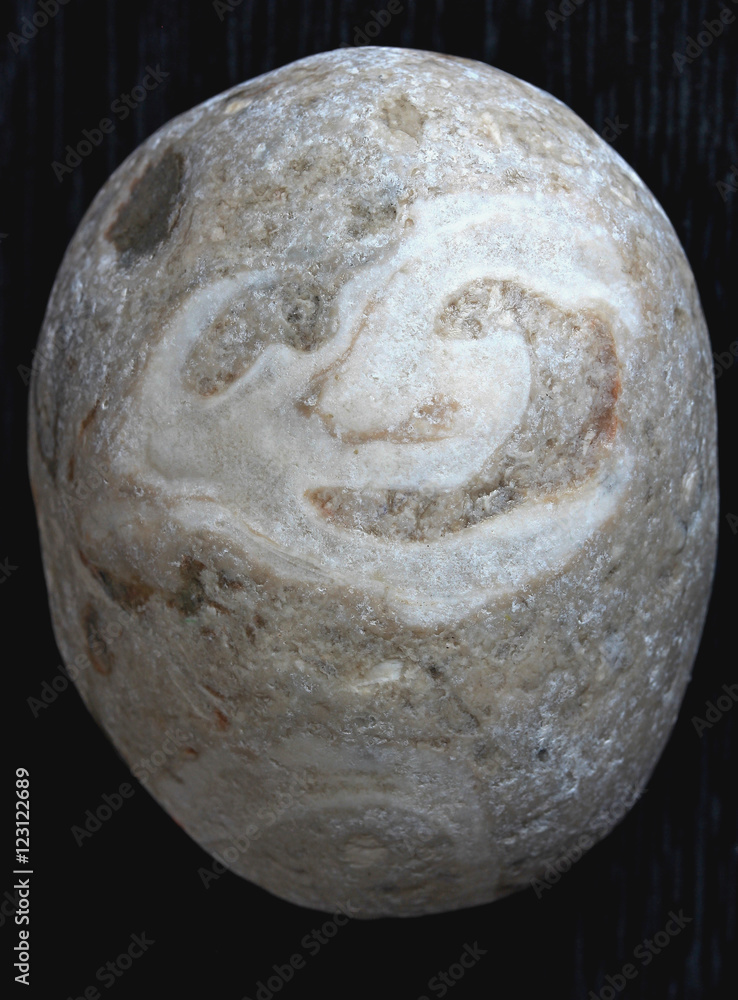 Fototapeta premium portrait on a stone