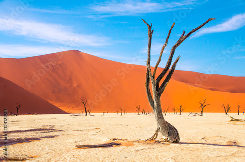 Sossusvlei, deadvlei