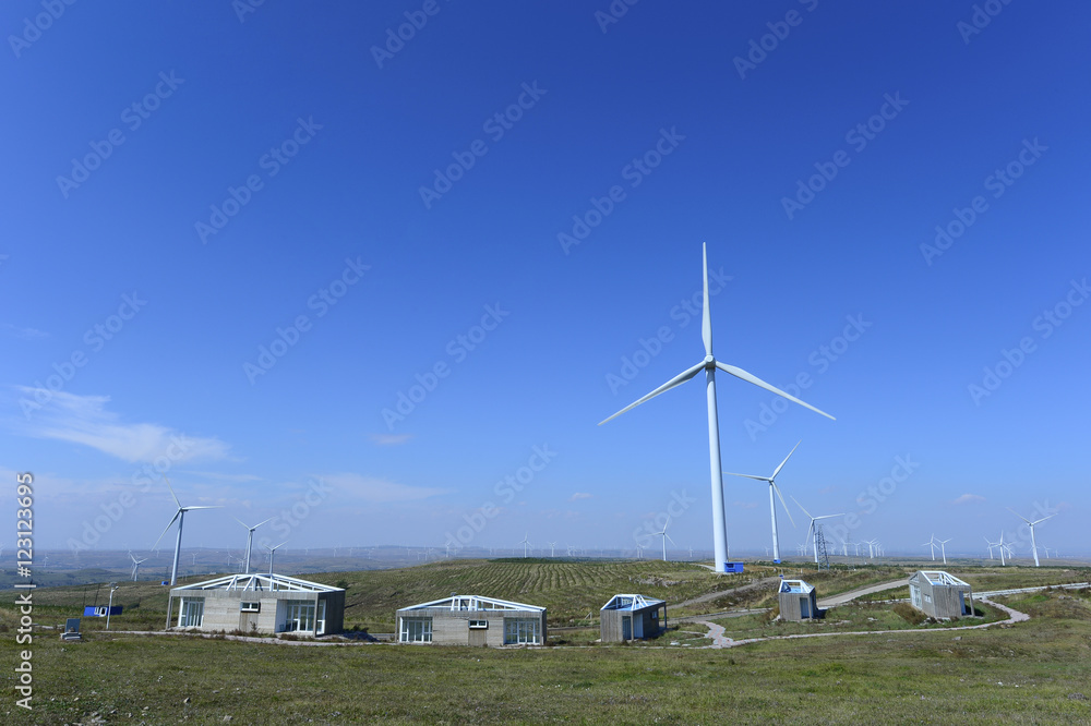 Fototapeta premium The windmill