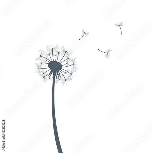 Dandelion silhouette illustration