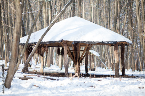 Wallpaper Mural animal feeder Torontodigital.ca