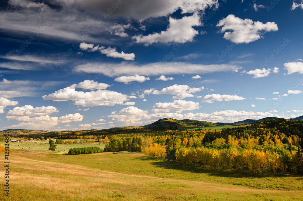 Farm views in the Alberta Foothills