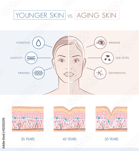 Younger and older skin comparison