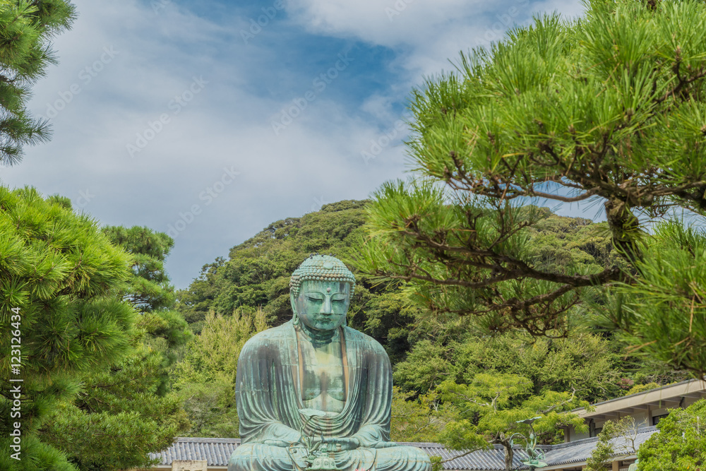 The Great Buddha in Kamakura Japan, which is surrounded by green leaves.There are pigeon to Buddha's head. The Great Buddha in Kamakura Japan, which is surrounded by green leaves.There are pigeon to Buddha's head.