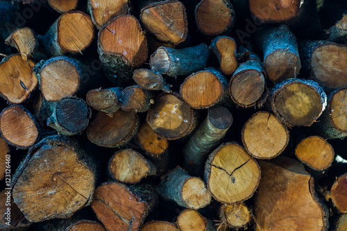 Log pile background