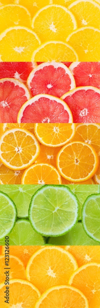 Fresh citrus fruit collection Fresh citrus fruit collection
