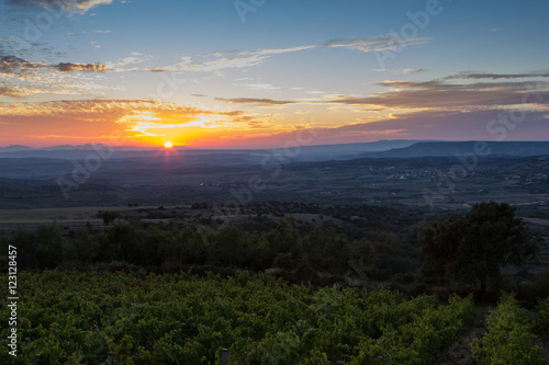 tramonto sui vigneti