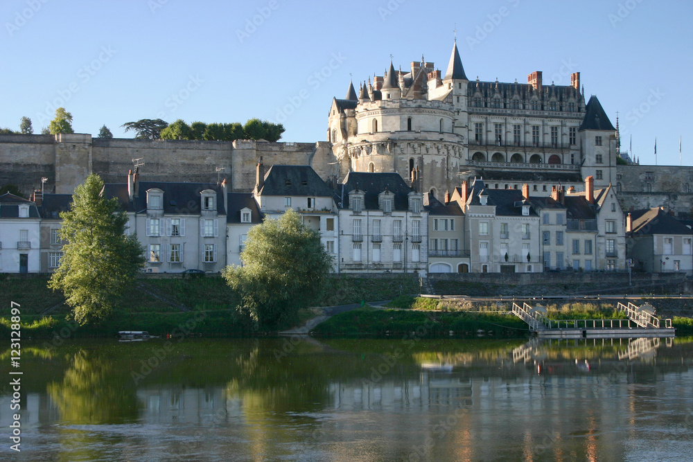 Castle of Amboise and the Loire