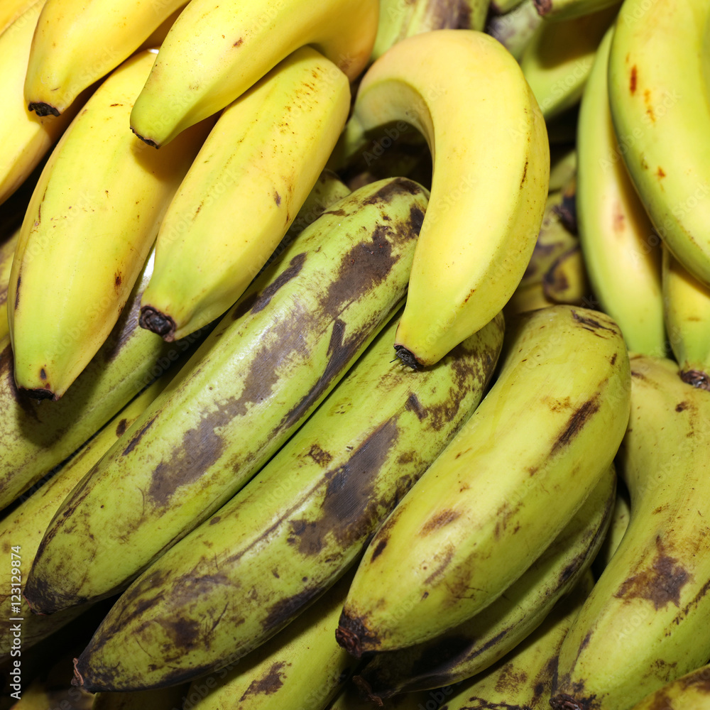 Bananas on Farmers Market in Lisbon. Portugal