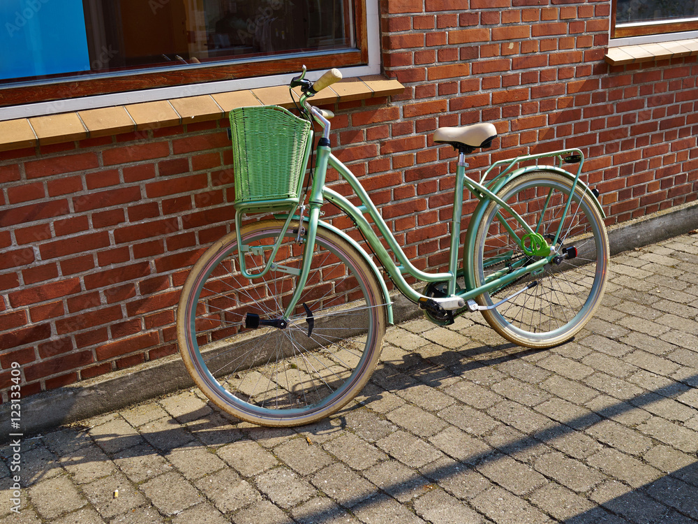 Vintage Classical  Bicycle