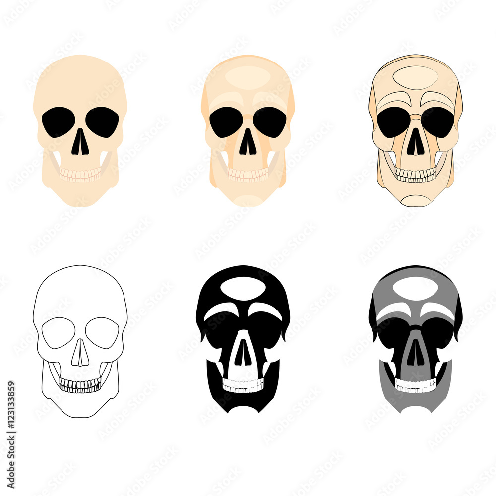 Collection icons human skulls logo in various styles, silhouette, line, color, simple, monochrome Collection icons human skulls logo in various styles, silhouette, line, color, simple, monochrome