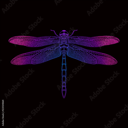 beautiful dragonfly on black background . Hand-drawn vector illustration.