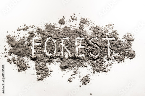 Word forest written in grey ash