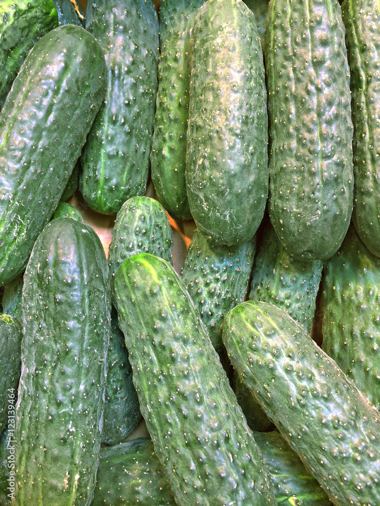 A box of cucumbers A box of cucumbers
