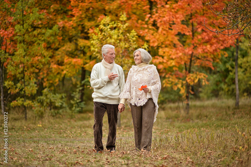 Beautiful  elderly couple walking in the autumn park © aletia2011