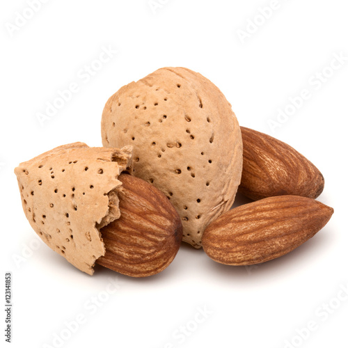 Almond nut in shell and shelled isolated on white background clo