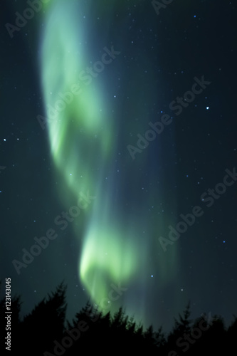 Beautiful northern light aurora borealis in the night sky of Iceland © whatafoto