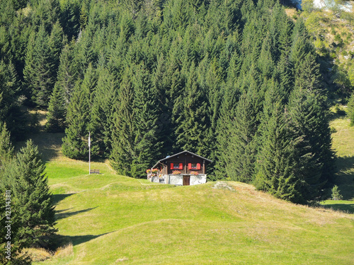 Traditional Swiss mountain landscape. Green area fall season with wood