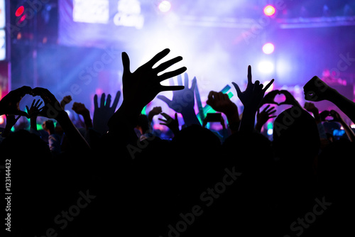 blurred image of crowd of cheering fans during a live concert, l